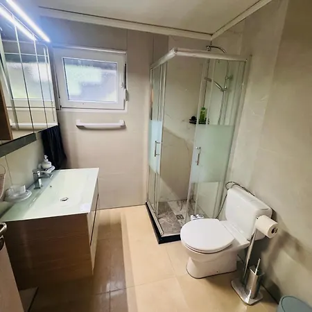 Lakeview Tomori 莱西根