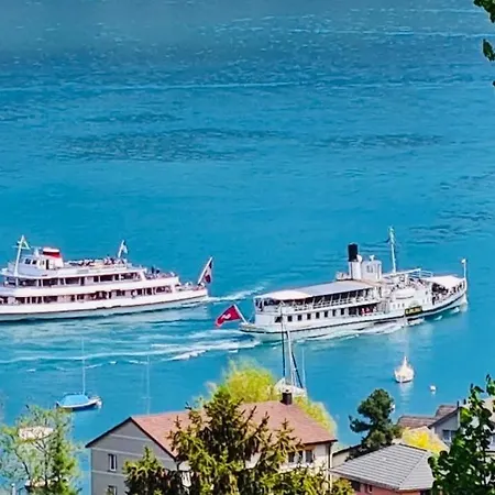 Interlaken Lakeview * Лайссиген
