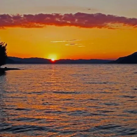 Lakeview Tomori * 莱西根