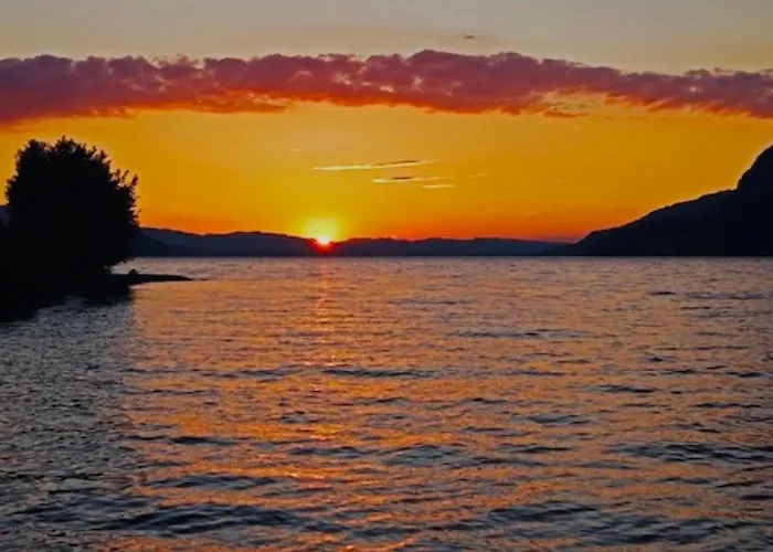 Lakeview Tomori * Leissigen